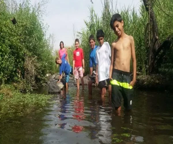 טיולי ג'יפים ברמת הגולן